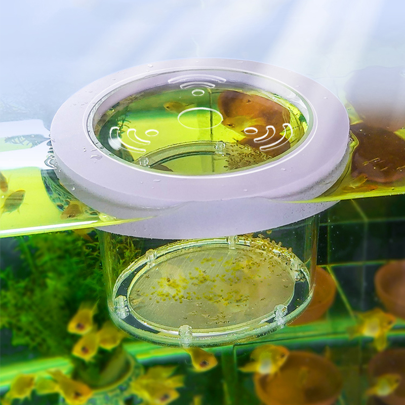 Lab Incubator - Suspended Fish Tank Breeding Isolation Box