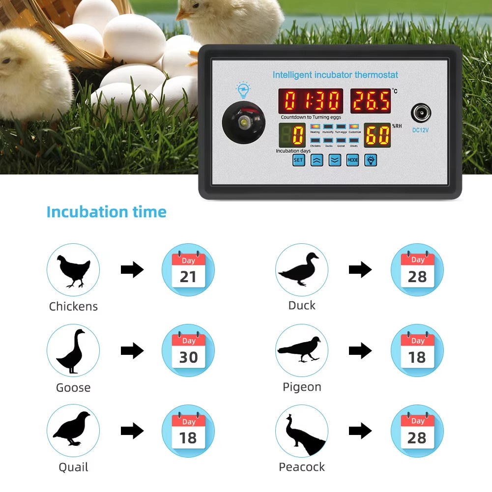 Lab Incubator - ZFX-W9002 12V/220V Egg Incubator Controller with