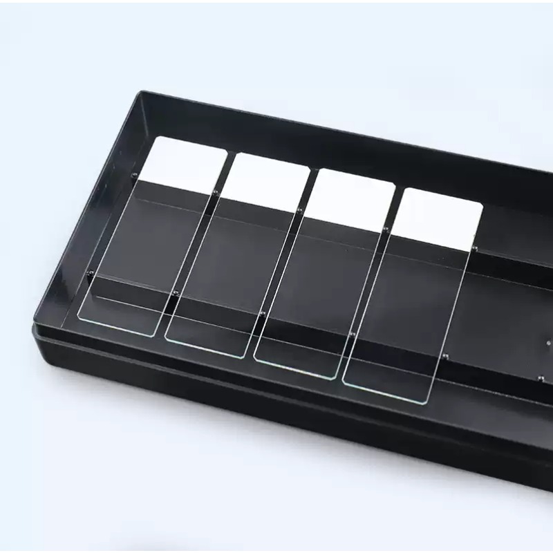 Lab Incubator - Clear/Black Slide Moisture Chamber Wet Box