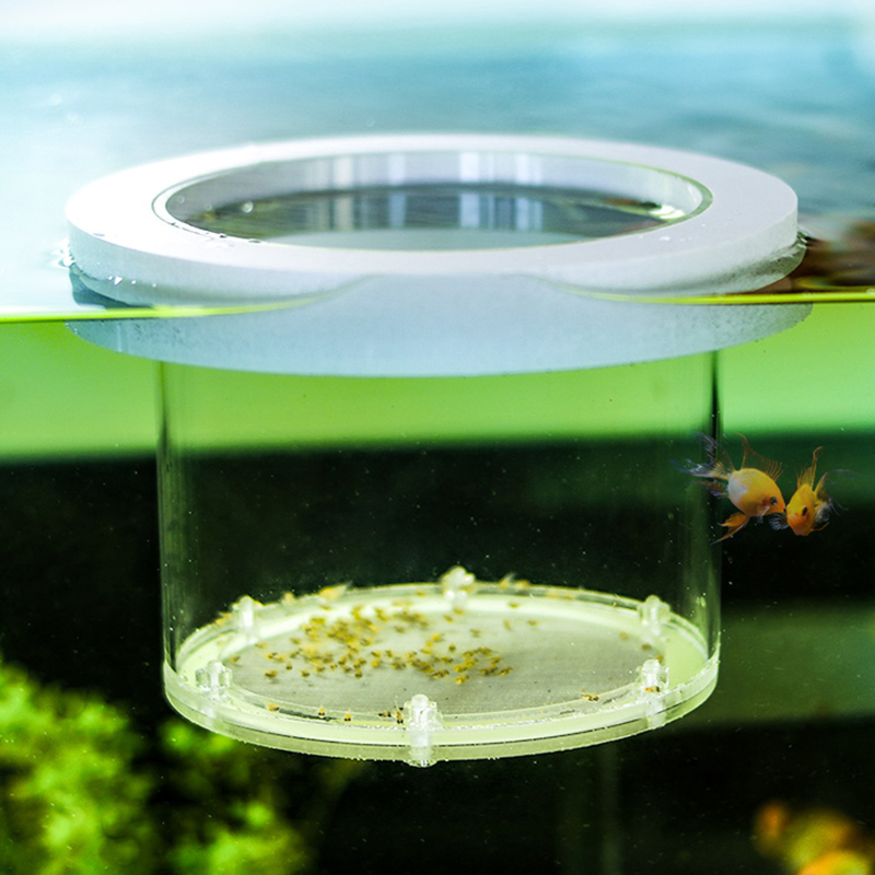 Suspended Fish Tank Breeding I - Lab Incubator review and price