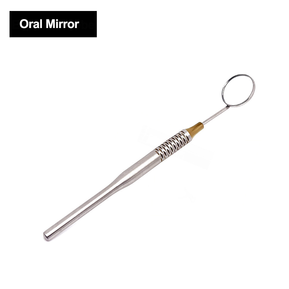 Premium Stainless Steel Dental - Dental Mirror Probe review and price