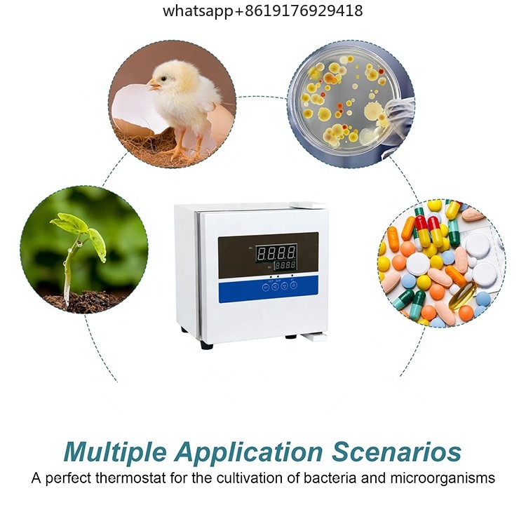 Laboratory 2L Mini Thermostat  - Lab Incubator review and price