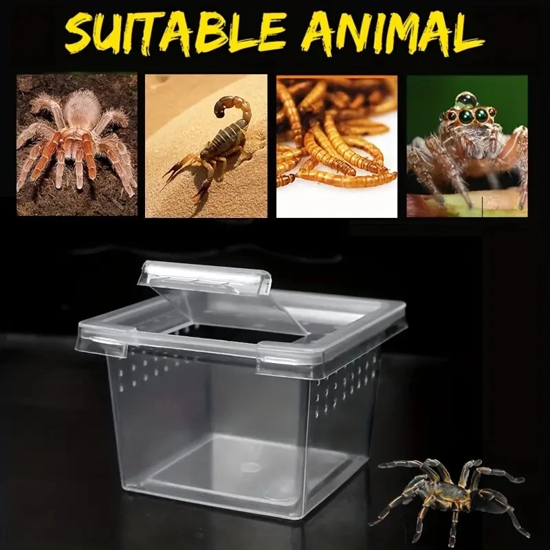 10 Feeding Box Reptile Cages I - Lab Incubator review and price