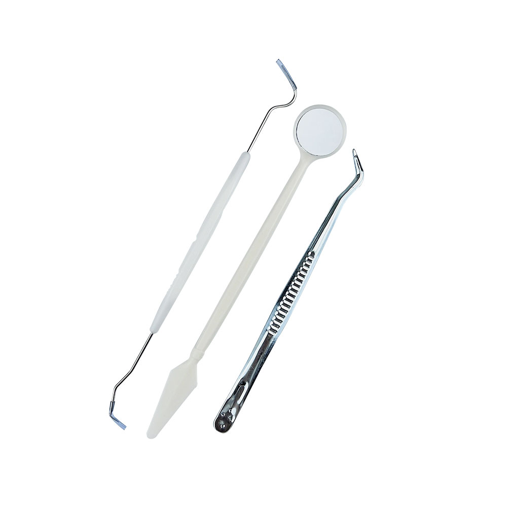 10 bags Dental Tool Kit Stainl - Dental Mirror Probe review and price